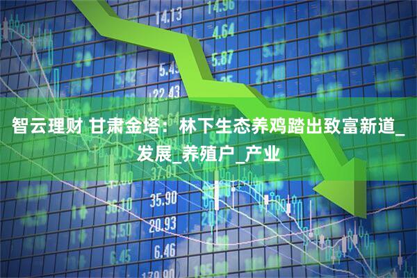 智云理财 甘肃金塔：林下生态养鸡踏出致富新道_发展_养殖户_产业