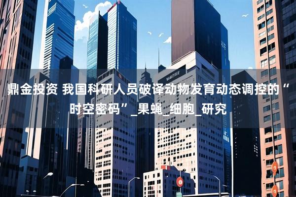 鼎金投资 我国科研人员破译动物发育动态调控的“时空密码”_果蝇_细胞_研究