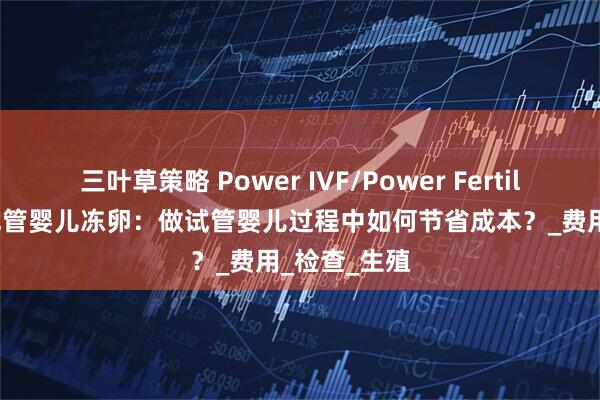 三叶草策略 Power IVF/Power Fertility 墨西哥试管婴儿冻卵：做试管婴儿过程中如何节省成本？_费用_检查_生殖