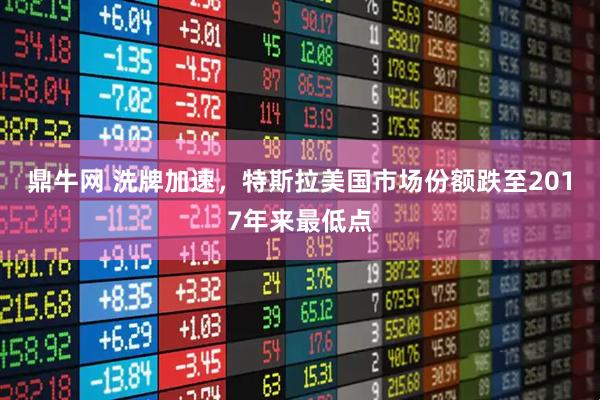 鼎牛网 洗牌加速，特斯拉美国市场份额跌至2017年来最低点