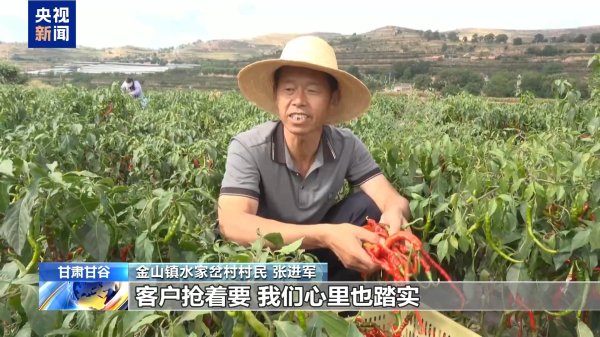 股神配资 小辣椒“长”成亿元产业！天水麻辣烫“灵魂佐料”丰收啦