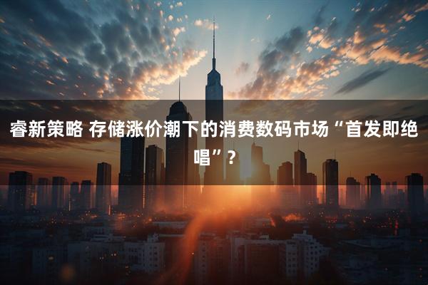 睿新策略 存储涨价潮下的消费数码市场“首发即绝唱”？